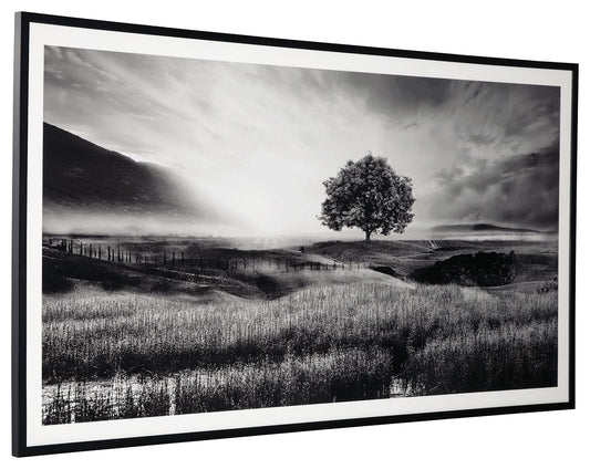 Deborland - Wall Art - Black / White